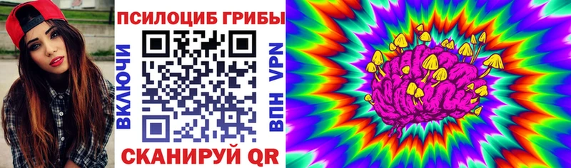Псилоцибиновые грибы прущие грибы  Купить закладки  Кинешма 